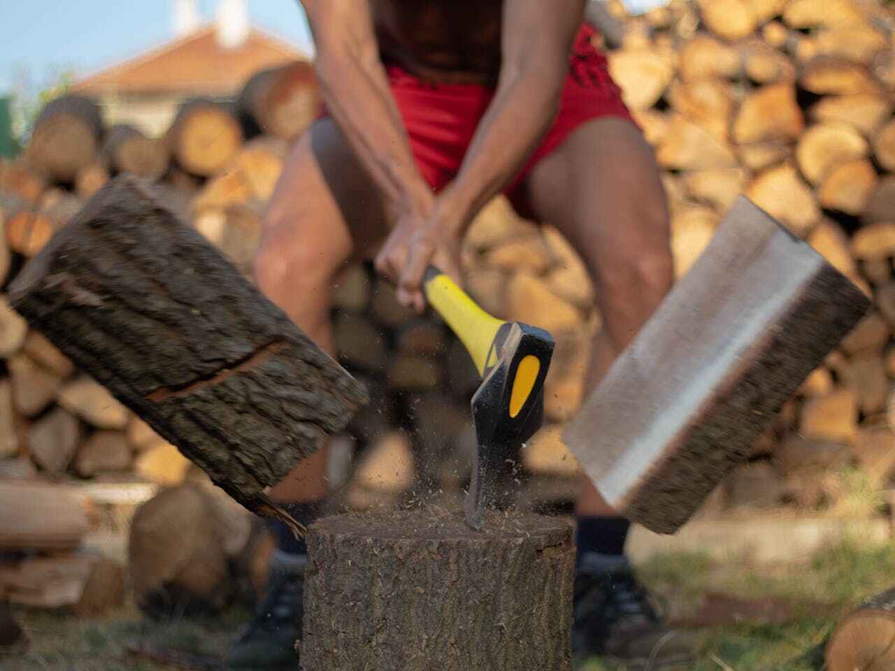 The Steps Involved in Our Tree Care Process in Buena Vista, CO